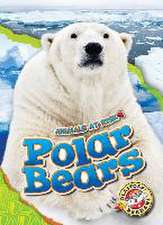 Polar Bears