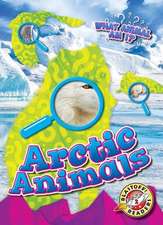 Arctic Animals