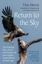 Return to the Sky