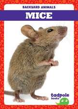 Mice