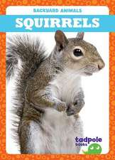 Squirrels