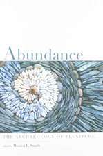 Abundance: The Archaeology of Plenitude