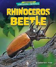 Rhinoceros Beetle