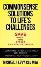 Commonsense Solutions to Life's Challenges