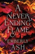 A Never Ending Flame