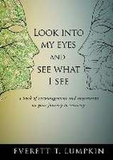 Look into my eyes and see what I see: a book of encouragement and inspiration on your journey to recovery