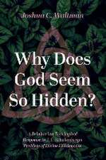 Why Does God Seem So Hidden?