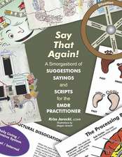 Say That Again!: A Smorgasbord of Suggestions, Sayings and Scripts for the EMDR Practitioner