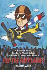 Fly the Airplane!: A Retired Pilot's Guide to Fight Safety for Pilots, Present and Future