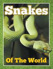 Snakes of the World: What You Need to Know about College Today for Students and Parents