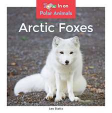 Arctic Foxes