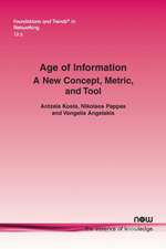 Age of Information