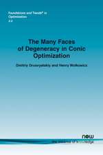 The Many Faces of Degeneracy in Conic Optimization