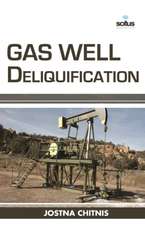 Gas Well Deliquification