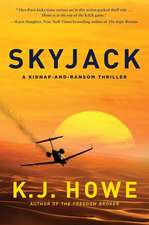 Skyjack: A Full-Throttle Hijacking Thriller That Never Slows Down