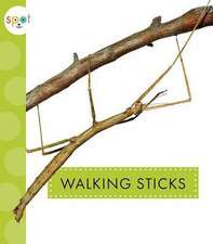 Walking Sticks