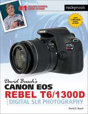 David Busch's Canon EOS Rebel T6/1300d Guide to Digital Slr Photography