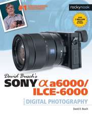 David Busch's Sony Alpha A6000/Ilce-6000 Guide to Digital Photography