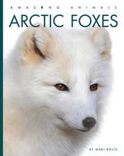 Arctic Foxes