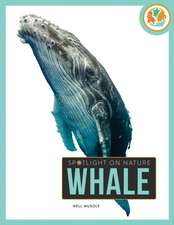 Whale