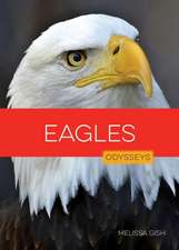 Eagles