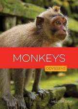 Monkeys