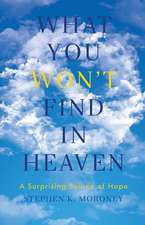 What You WON′T Find in Heaven