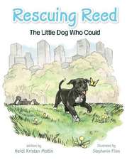 Rescuing Reed: The Little Dog Who Could