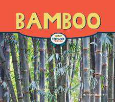 Bamboo