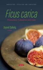 Ficus carica