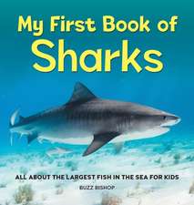 My First Book of Sharks