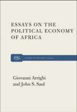 Essays on the Political Economy of Africa