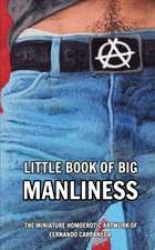 Little Book of Big Manliness