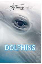 Dolphins