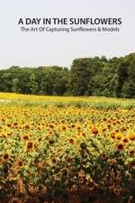 A day in the sunflowers