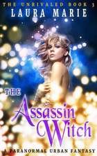 The Assassin Witch: A Paranormal Urban Fantasy