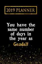 2019 Planner: You Have the Same Number of Days in the Year as Gandalf: Gandalf 2019 Planner