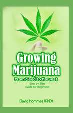 Growing Marijuana: From Seed to Harvest Step by Step Guide for Beginners