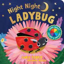 Night Night Ladybug