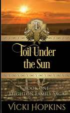 Toil Under the Sun