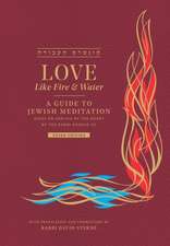 Love like Fire and Water: A Guide to Jewish Meditation