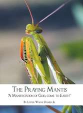 The Praying Mantis