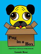 Pug in a Box