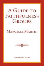 A Guide To Faithfulness Groups