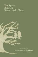 The Space Between Spark and Flame