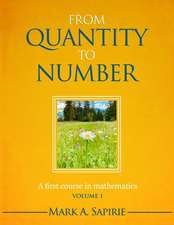 From Quantity To Number: A first course in mathematics