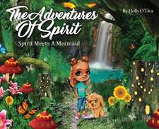 The Adventures of Spirit