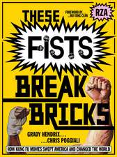 These Fists Break Bricks: How Kung Fu Movies Swept America and Changed the World