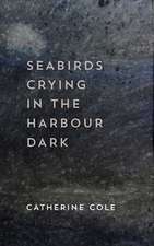 Seabirds Crying in the Harbour Dark