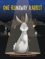 1 RUNAWAY RABBIT